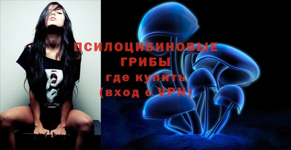 МДПВ Касимов