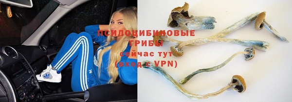 МДПВ Касимов