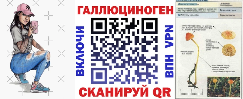 Купить закладки  Демидов  Псилоцибиновые грибы GOLDEN TEACHER 